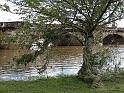 Hochwasser (322)